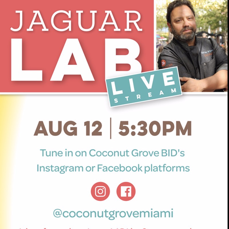 Jaguar Lab Live Stream! 