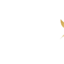 The Code To Freedom 