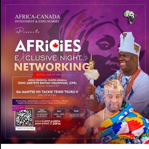 Africies : Exclusive Night Of Networking 