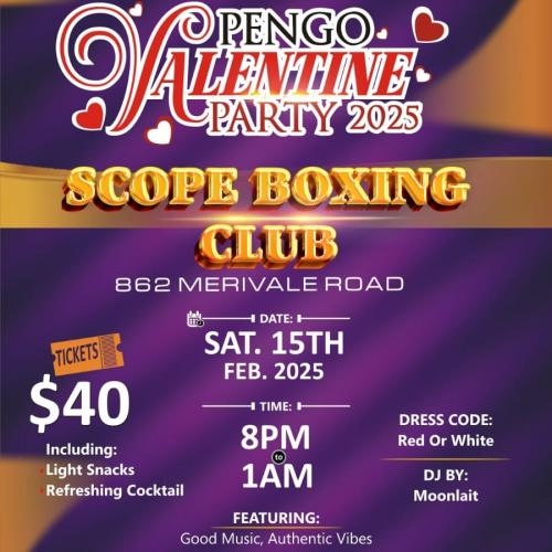 Pengo Valentine Party 