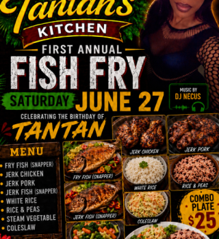 TANTAN Kitchen Fish Fry 